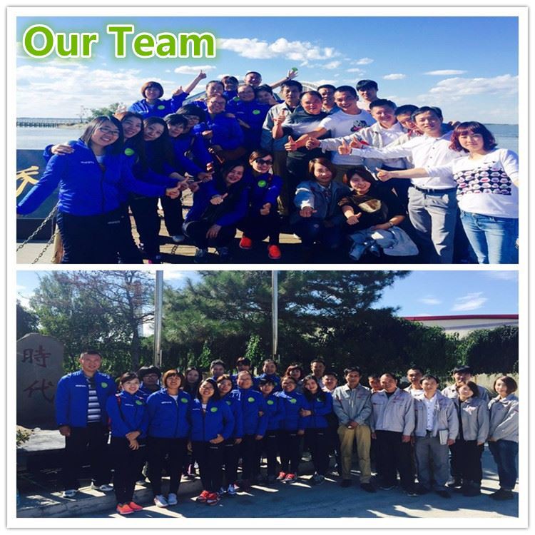 our team