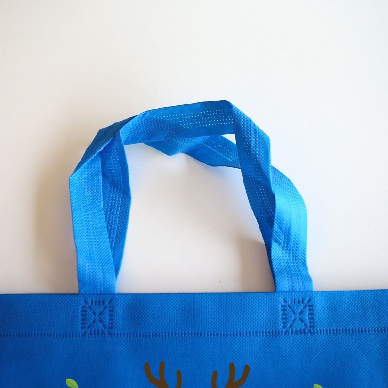 Non Woven foldable bags