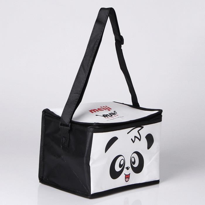 Insulated Pp Woven Cooler Bag