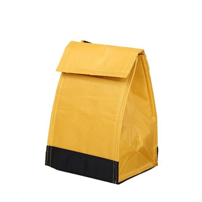 PP Woven Waterproof Lunch Bag