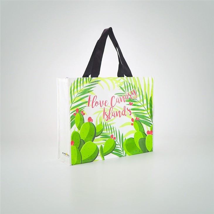Cute Reusable Shopping Bag