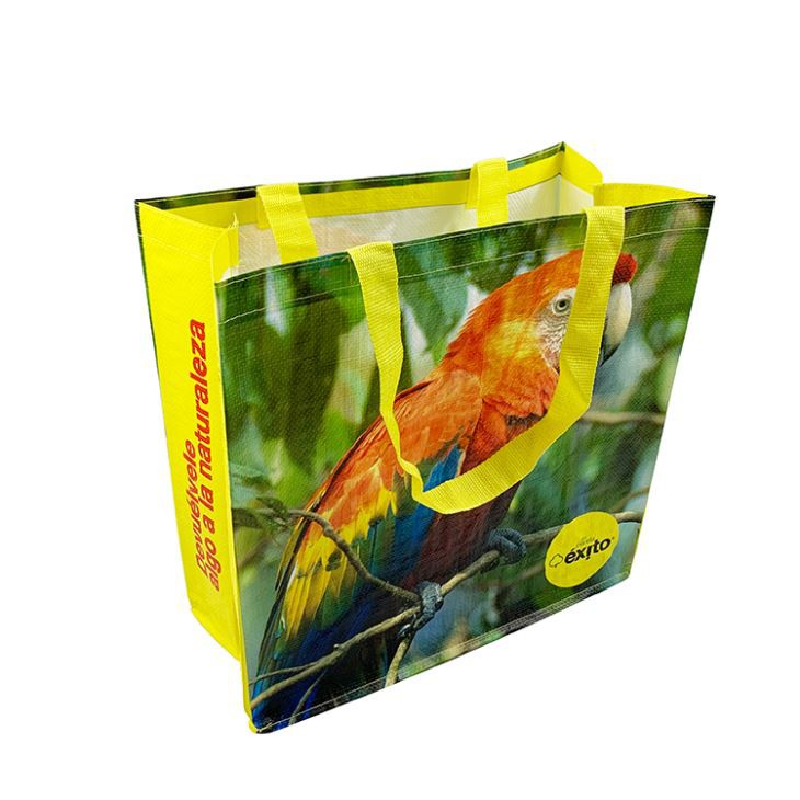 Pp Woven Fabric