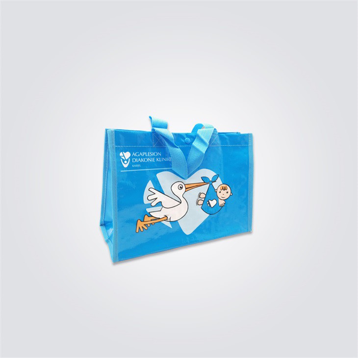 Pp Woven Shopper