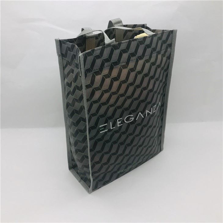 Beautiful Foldable Non Woven Bag