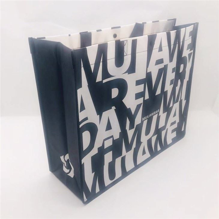 Beautiful PP Non Woven Bag