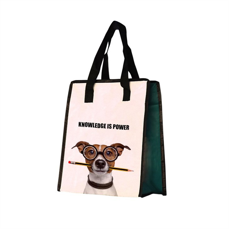 Best Laminated Pp Woven Cooler Bag