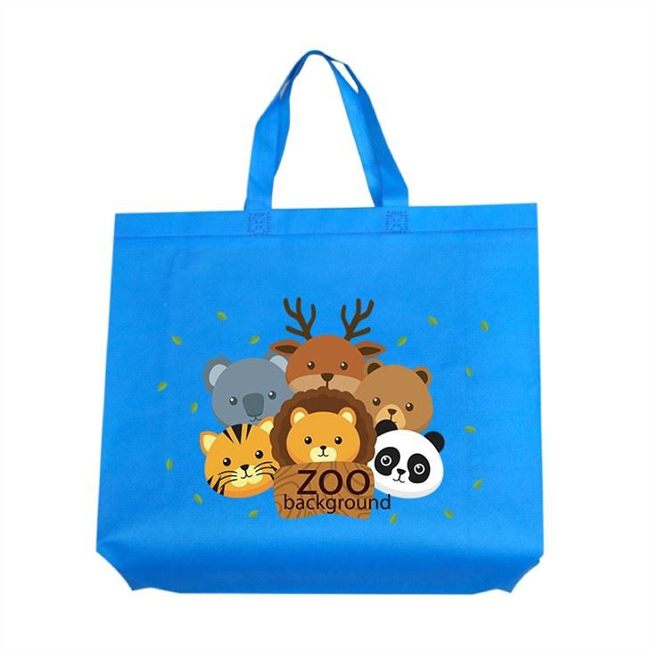 Best Non Woven Foldable Bag