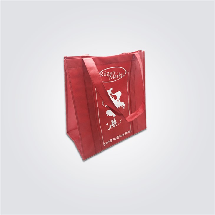 Best Foldable Non Woven Bag