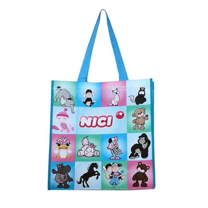 Fashionable Foldable Non Woven Bag
