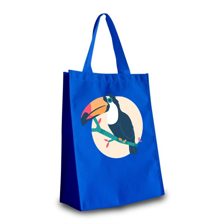 Fashionable RPET Tote Bag