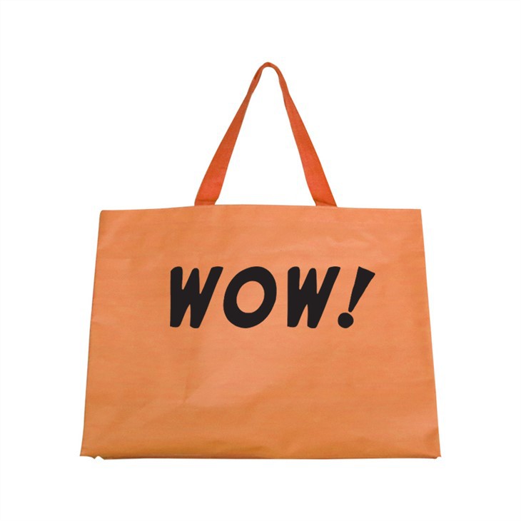 Laminated Pp Bag