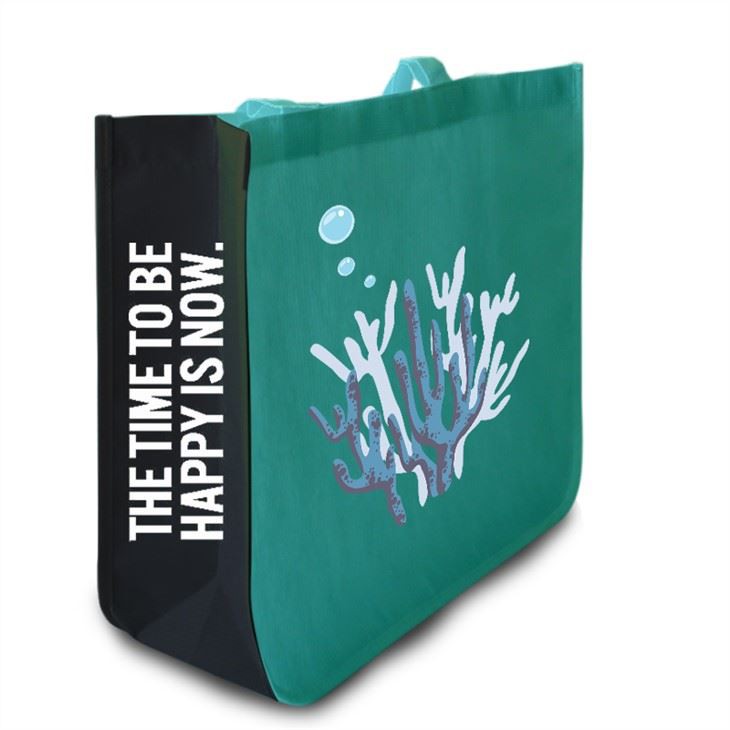 Matt RPET Lamination Shopping Bag