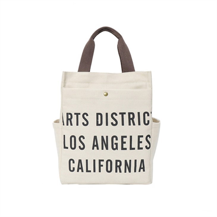 Mini Beautiful Canvas Handbag