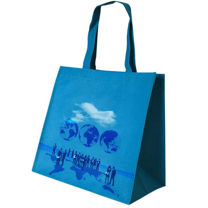 Non Woven Shopping Bag
