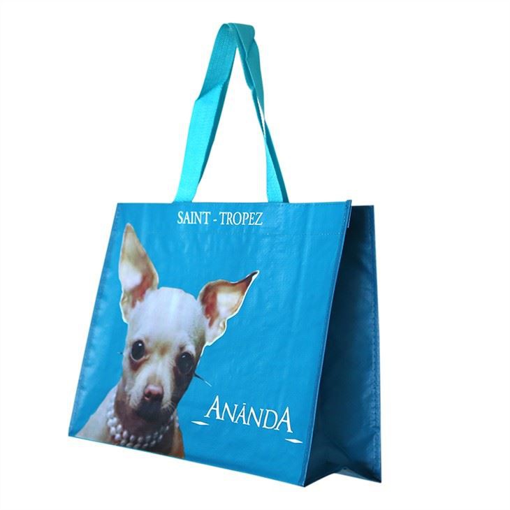 Reusable Shopping Bags