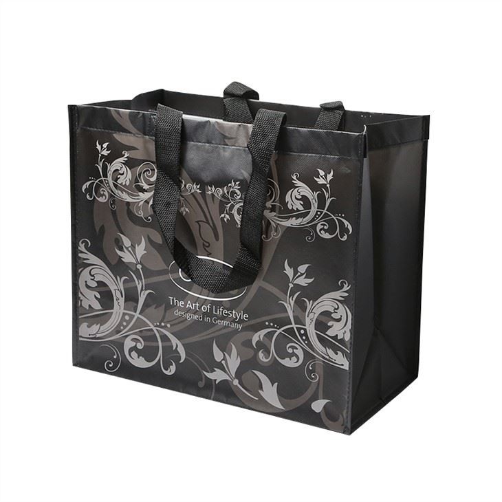 Beautiful Non Woven Gift Shopping Bags