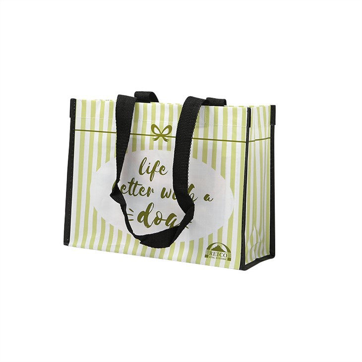 Cute Pp Woven Shopping Bag